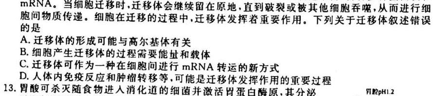 名校联考 2024届高三总复习月考卷(二)生物学试题答案