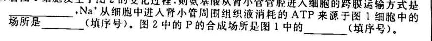 陕西省2023-2024学年度高一年级选科调考（7-8号）生物