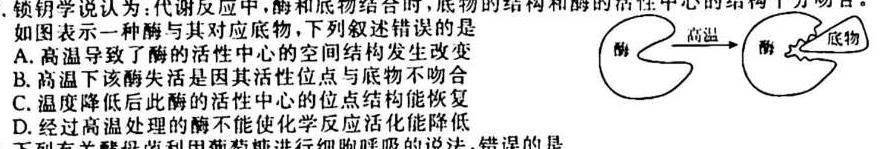 学科网2024届高三10月大联考考后强化卷(全国乙卷)生物试卷答案