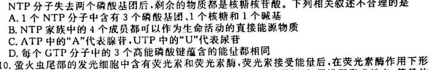 辽宁省名校联盟2023-2024学年高一上学期10月联合考试生物试卷答案