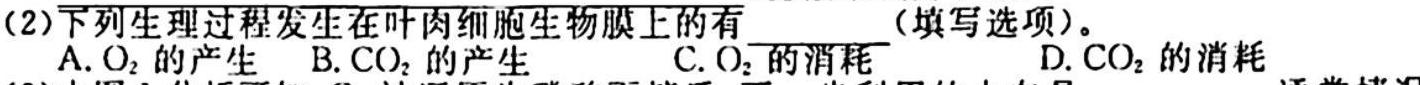 山东普高大联考高三年级10月联合质量测评(2023.10)生物试卷答案