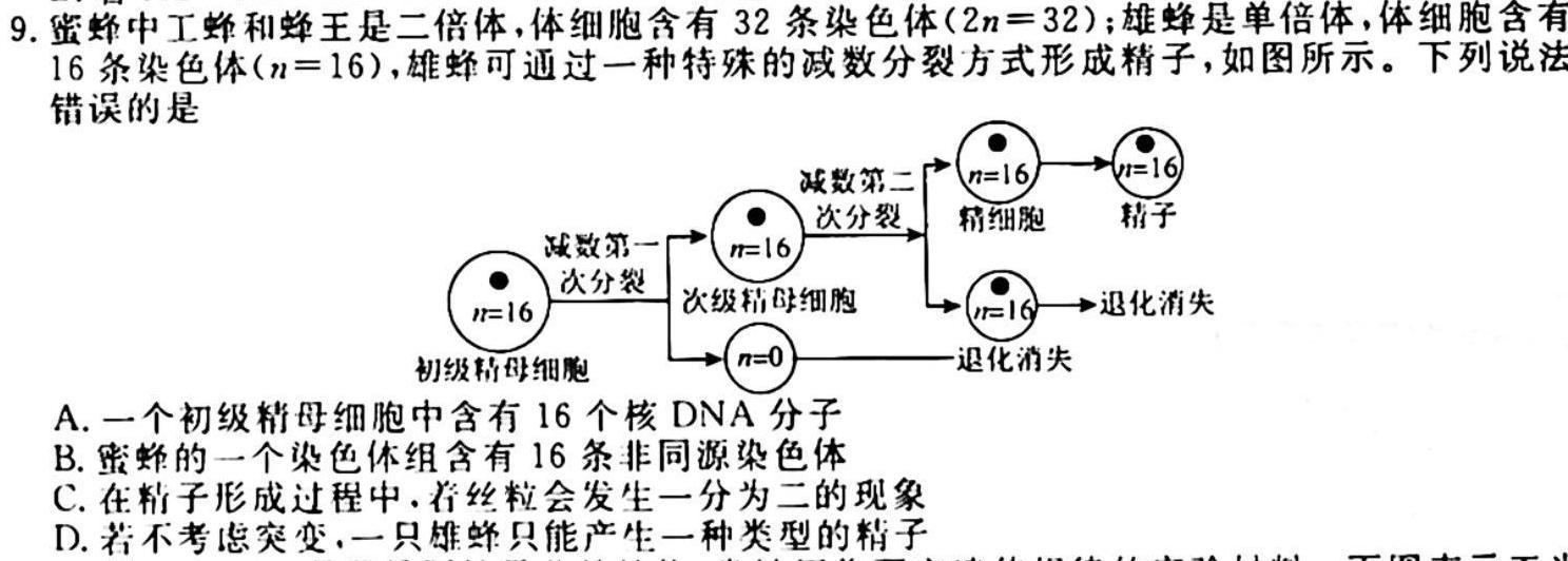 贵阳第一中学2024届高考适应性月考卷(二)生物试卷答案