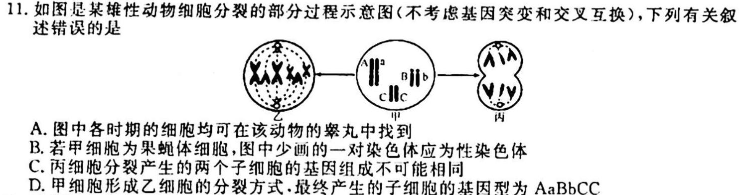 ［重庆一诊］重庆康德卷2024届高三年级上学期半期考试生物学试题答案