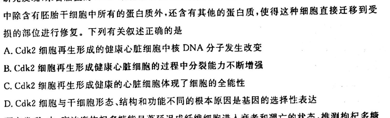 2024届高三第二次大联考试卷（XGK）生物试卷答案