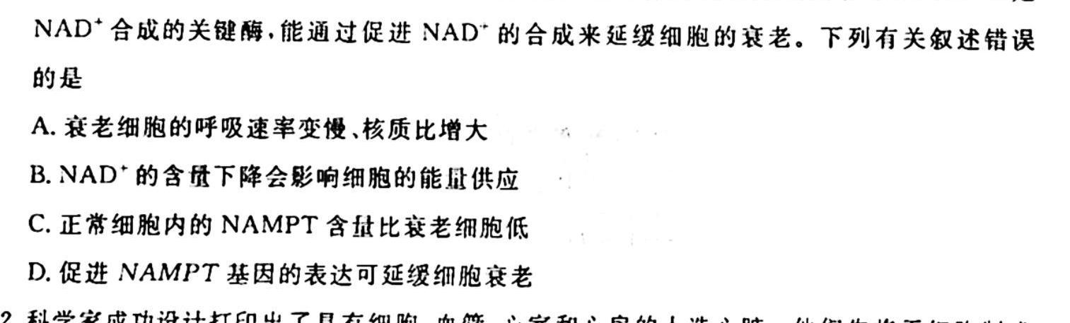 衡水金卷 2024届高三年级10月份大联考(新教材)生物