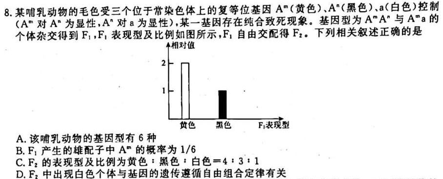 九师联盟2024届高三10月质量检测巩固卷XG生物