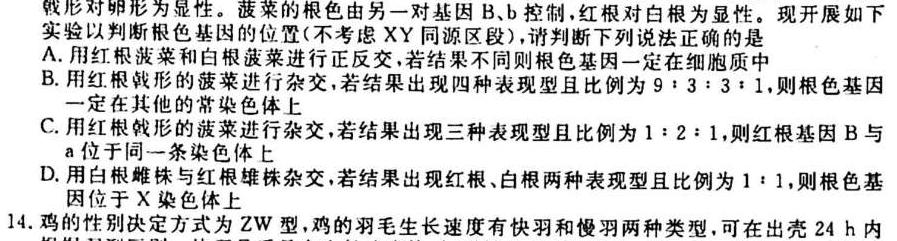 重庆市康德2024年普通高等学校招生全国统一考试11月调研测试卷生物学试题答案