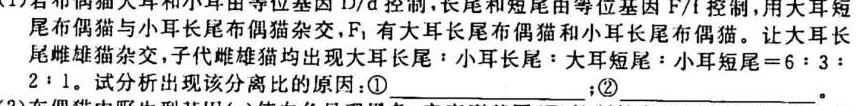 湖南省三湘名校教育联盟2024届高三第一次大联考生物学试题答案