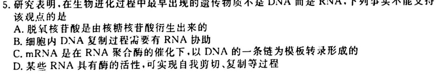 银川一中通辽实验中学2024届高三年级第三次月考生物学试题答案