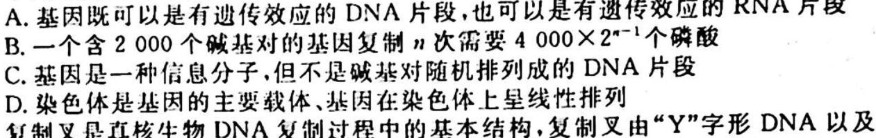 安徽省2025届八年级G5联动教研第一次阶段性调研生物学试题答案