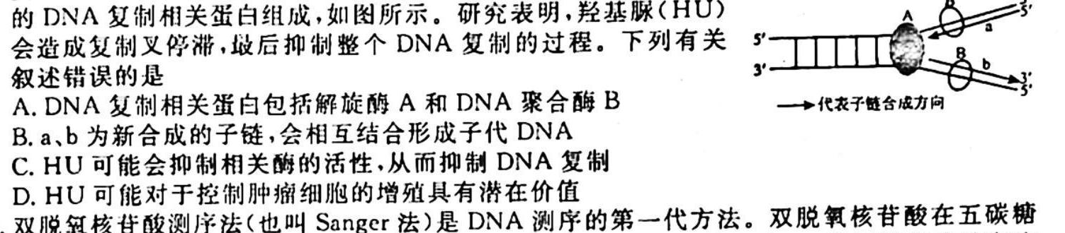 2023-2024学年安徽省七年级教学质量检测（一）生物学试题答案