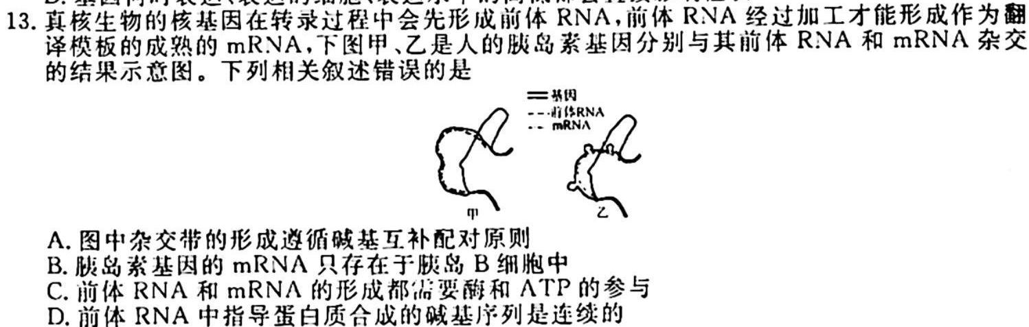 甘肃省2023-2024学年高一第一学期联片办学期中考试(11月)生物