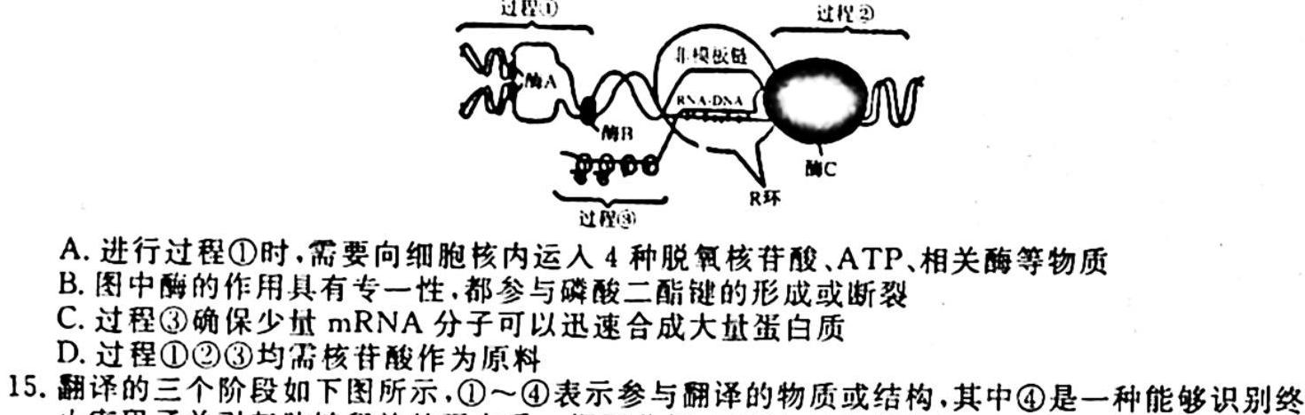 重庆市巴蜀中学2024届高考适应性月考(黑黑黑白白黑白)(三)生物学试题答案