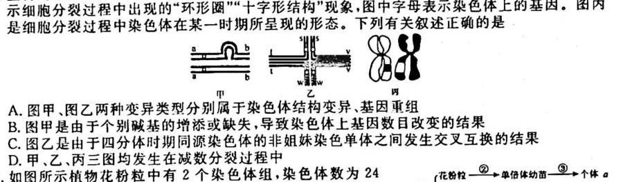 辽宁省2023~2024学年上学期高三年级10月考试(243159Z)生物试卷答案