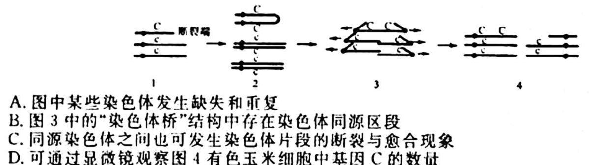 2023~2024学年核心突破XGK(二十二)22生物学试题答案