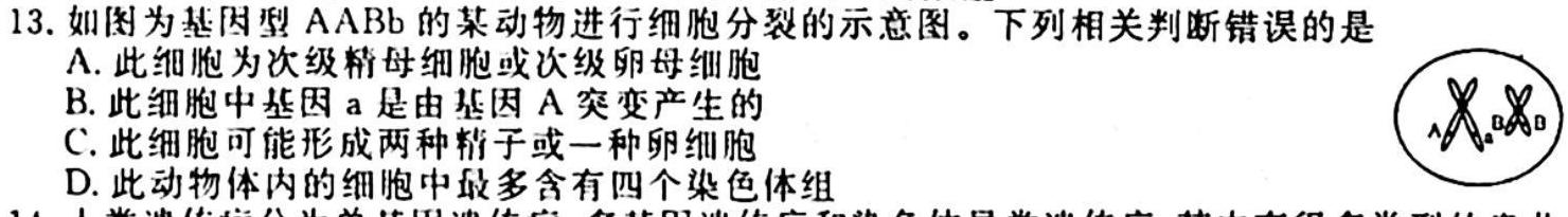 衡水金卷先享题2023-2024学年度高三一轮复习摸底测试卷摸底卷(辽宁专版)二生物