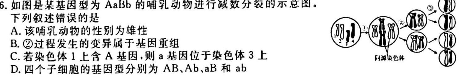 兵团地州学校2023-2024学年高二年级第一学期期中联考生物