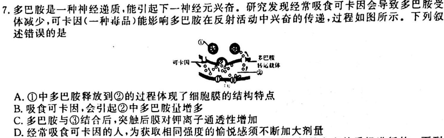 河南省2024届九年级期中综合评估 2L R生物学试题答案