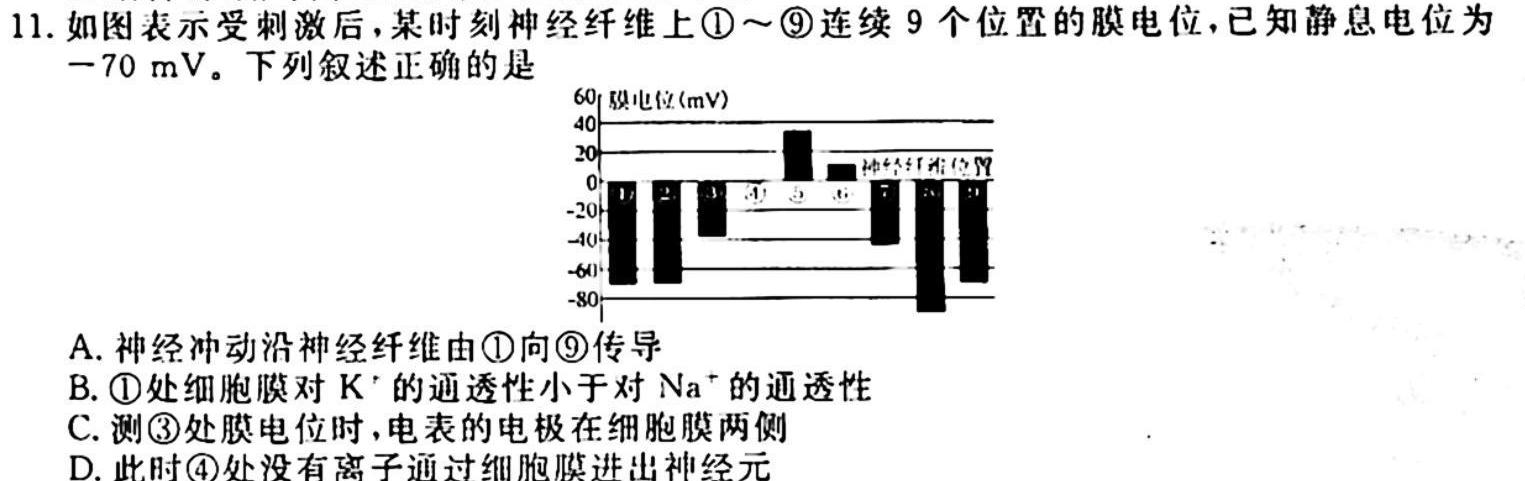 五市十校教研教改共同体/湖湘名校教育联合体·2024届高三10月大联考生物学试题答案