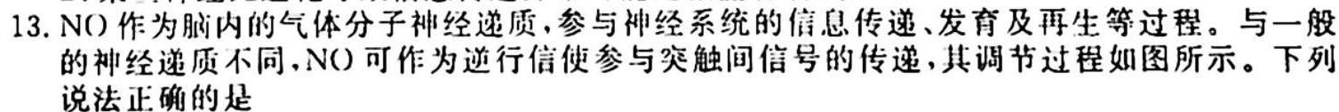 辽宁省2023-2024学年度上学期九年级阶段练习（一）生物