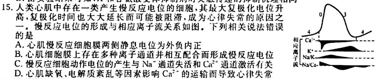 2024届内蒙古省高三试卷10月联考(24-60C)生物学试题答案