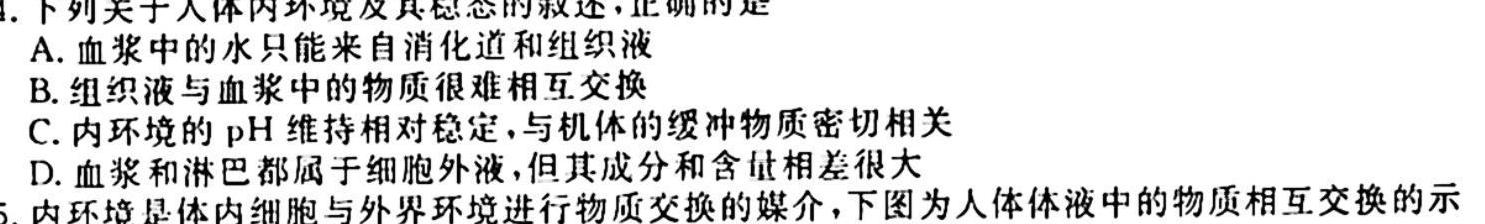 安徽省2023-2024学年高二年级上学期10月阶段检测生物