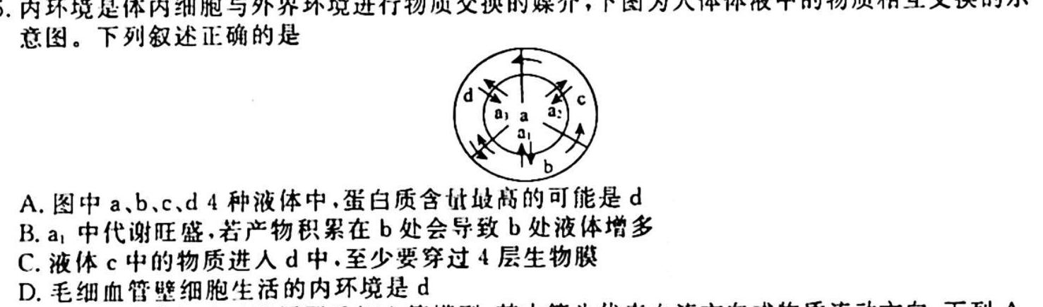 安徽省2023-2024学年上学期高二年级10月份质量检测生物试卷答案