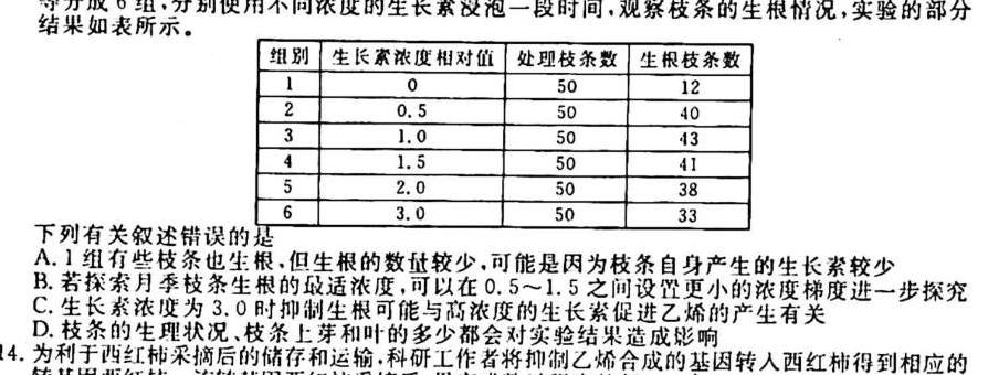 江西省2023-2024学年度高一年级11月联考（期中考试）生物