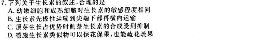 九师联盟·2024届高三10月质量检测巩固卷(LG）生物学试题答案