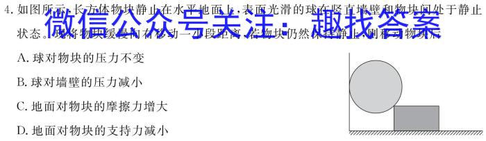 安徽省淮南市某校2023-2024学年八年级学情练习卷物理`