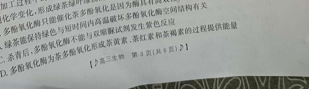 陕西省彩虹初中2023-2024学年度第一学期九年级期中考试生物学试题答案