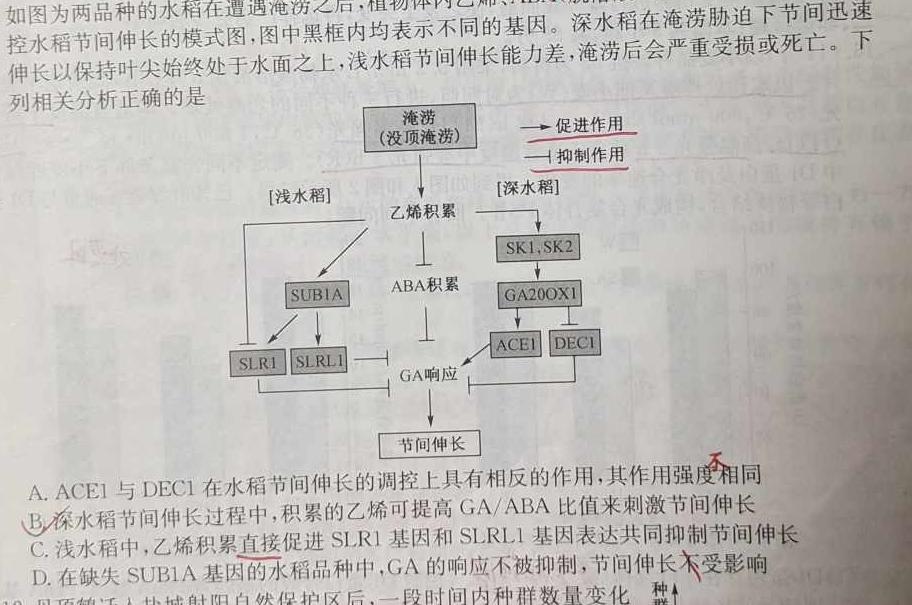 广西省2025届高二年级10月联考生物学试题答案