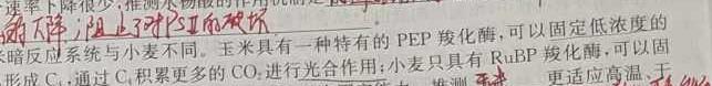 辽宁省名校联盟2023年高二10月份联合考试生物学试题答案