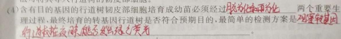 炎德英才大联考 长沙市一中2024届高三月考试卷(四)4生物学试题答案