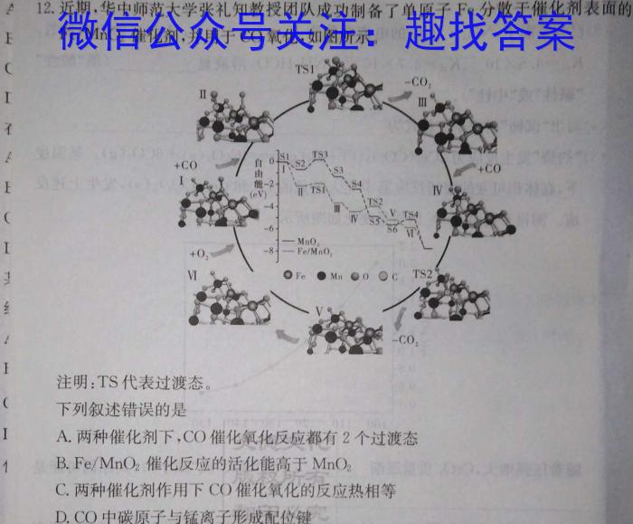 q陕西省2023-2024学年七年级阶段诊断（B）化学