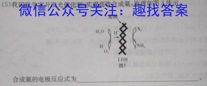 3安徽省2023-2024学年度七年级阶段质量检测化学