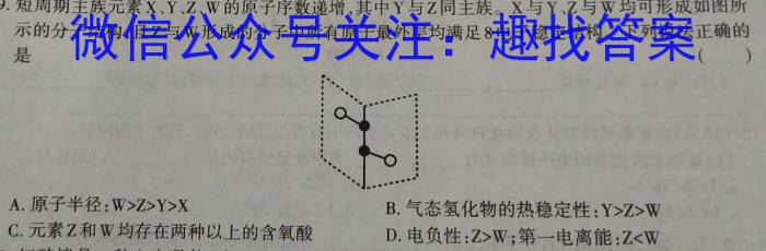q广西省2023-2024学年柳州高中/南宁二中高三(九月)联考化学