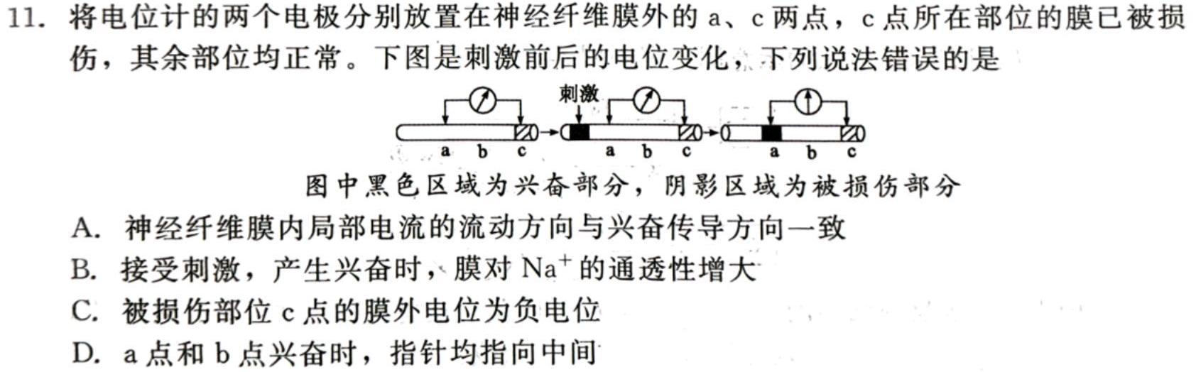 安徽省2023-2024学年第一学期七年级期中教学质量检测生物学试题答案