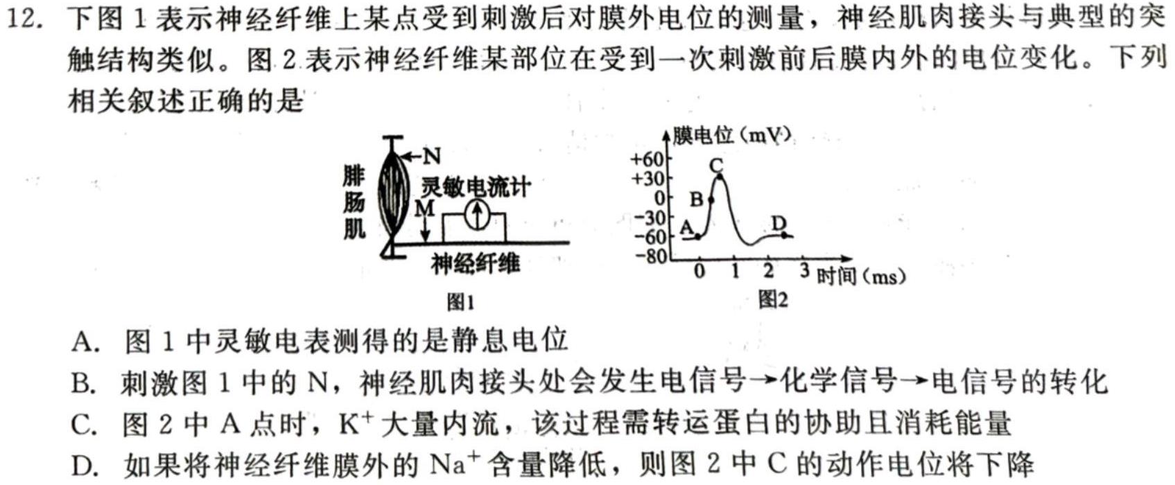 2023-2024年度高三优创名校联考（10月）生物学试题答案