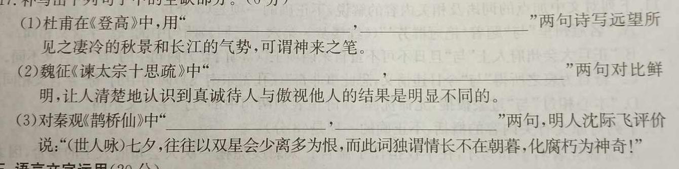 甘肃省2024届高三阶段检测(24-114C)语文