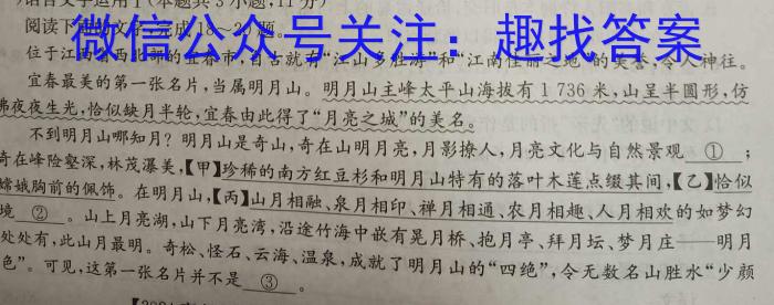 安徽省2023-2024学年度上学期九年级第二次教学质量检测/语文