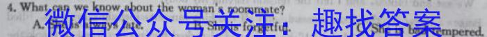 河南省洛阳市强基联盟2023-2024学年高二上学期10月联考英语试题