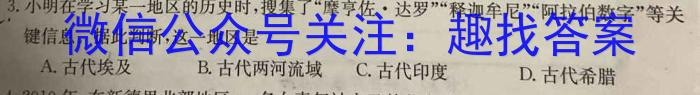 山东省2023年10月高三年级过程性检测历史