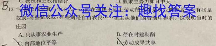 河南省2024届洛平许济四市高三年级10月联考历史试卷