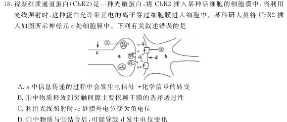 河南省普高联考2023-2024学年高一年级阶段性测试(一)生物学试题答案