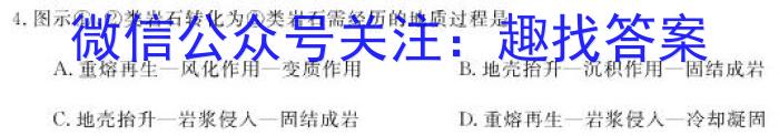 2024届陕西省西工大附中九年级第八次适应性训练[24-8]地理试卷答案