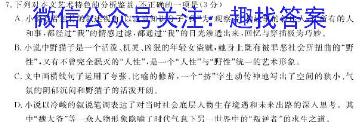 山西省大同市2023-2024学年度高一年级期中考试11月联考语文