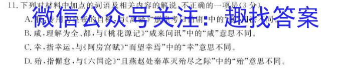 河南省2023-2024学年度九年级上学期期中综合评估【2LR】语文