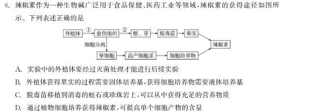 安徽省2023-2024学年度第一学期九年级作业辅导练习（二）生物试卷答案