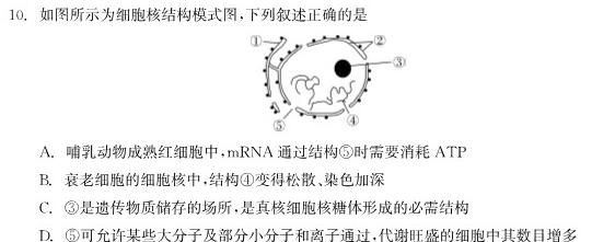 陕西省2023-2024学年度第一学期八年级期中质量调研（W）生物